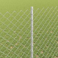 Ограда и колче Сребрист 1,6 x 10 m Стомана