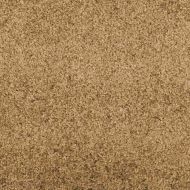 Мат за врата Друг Кремав и черен 120 x 250 cm Полиамид и PVC