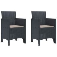 Градински стол 2 pcs Антрацит 53 x 49 x 85 см PP