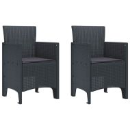 Градински стол 2 pcs Антрацит 53 x 49 x 85 см PP