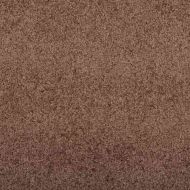 Мат за врата Кафяв и черен 120 x 300 cm Полипропилен и винил