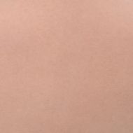 Силиконов нагръдник, естествен, B чашка