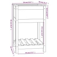 Плантер с рафт, меденокафяв, 54x54x81 см, борово дърво масив