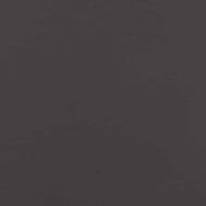 Екран за градинска неприкосновеност Черно 50 x 32 x 150 см