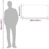 Кухненски заден панел Светлосиво 100 x 40 x 0,6 см