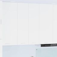 Висящ шкаф с врата Riga Бяло 60 x 31 x 100 см Инженерно дърво