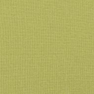 Диван възглавници 2 pcs Светло зелено 60 x 40 cm текстил