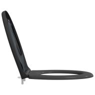 Бързо освобождаваща тоалетна седалка Антрацит