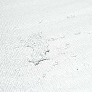 Топлоотражател за радиатор Сребрист 0.5 x 25 м Алуминий