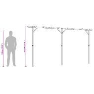 Градинска пергола, 410x40x203 см, дърво
