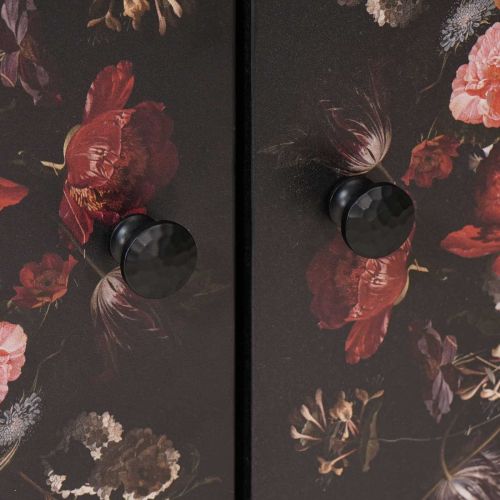 Шкафове за съхранение с врата Многоцветен 60 x 33,5 x 75 см