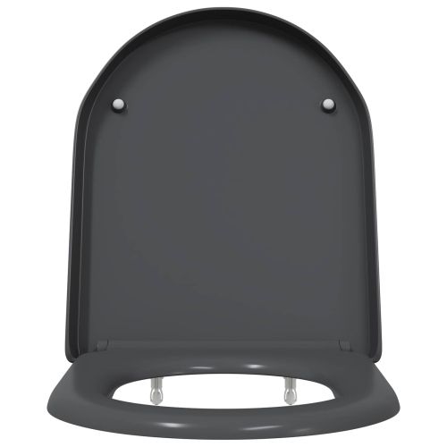 Бързо освобождаваща тоалетна седалка Антрацит
