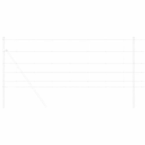 Ограда за пасища Сребрист 25 x 0,8 m Поцинкована стомана