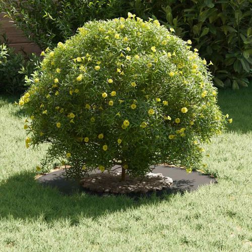 подходяща за плоски дървени халки 5 pcs Черно Ø30 / 60 см Стомана