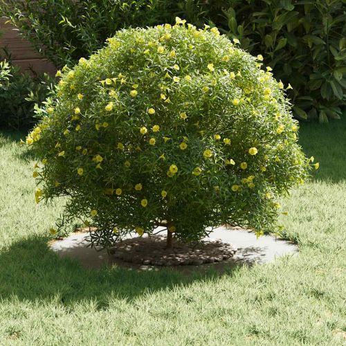 подходяща за плоски дървени халки 5 pcs Бяло Ø30 / 60 см Стомана