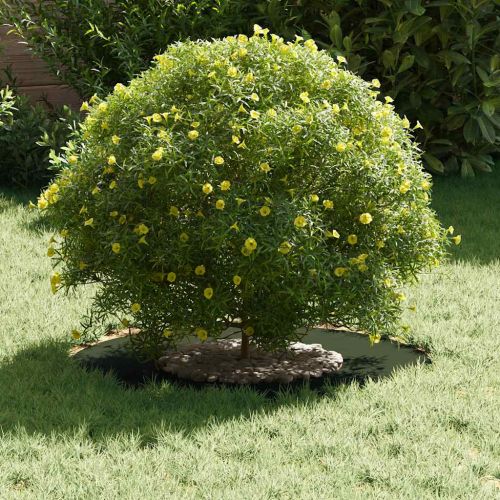 подходяща за плоски дървени халки 5 pcs Маслиненозелен