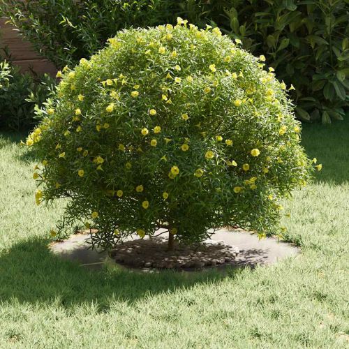 подходяща за плоски дървени халки Сребрист Ø30 / 60 см