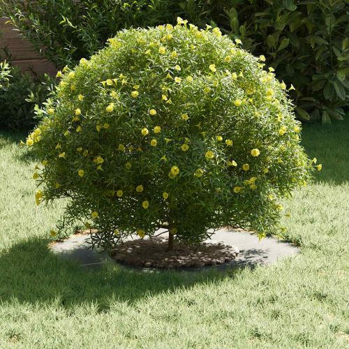 подходяща за плоски дървени халки Сребрист Ø30 / 60 см