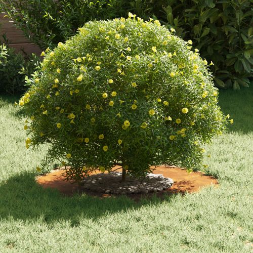 подходяща за плоски дървени халки 5 pcs Кафяво Ø30 / 60 см