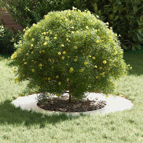 подходяща за плоски дървени халки 5 pcs Сребрист Ø40 / 70 см