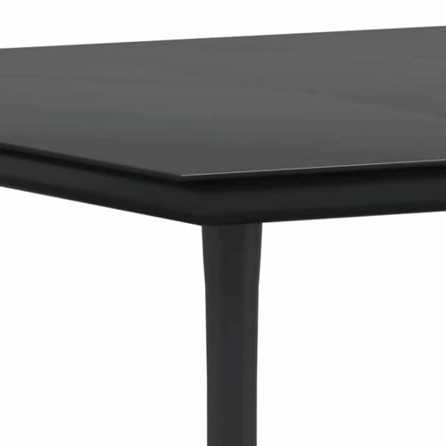 Комплект за хранене в градината 3 pcs Черно полиратан