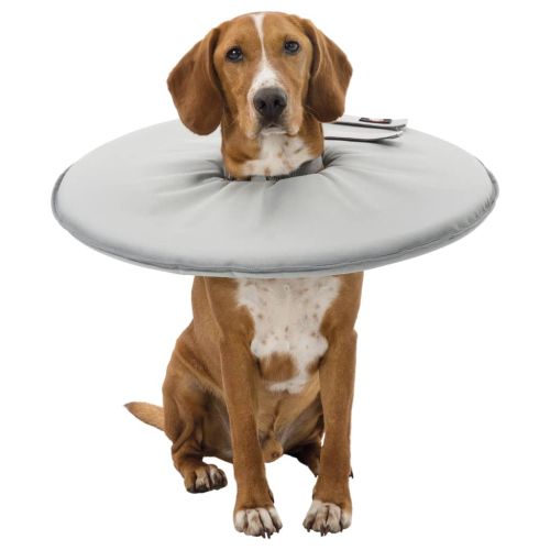 TRIXIE Защитна яка за домашни любимци, L-XL, 27 см