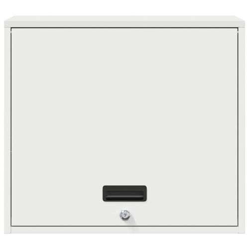 Стенен шкаф за гараж Бяло 60 x 40 x 53 см