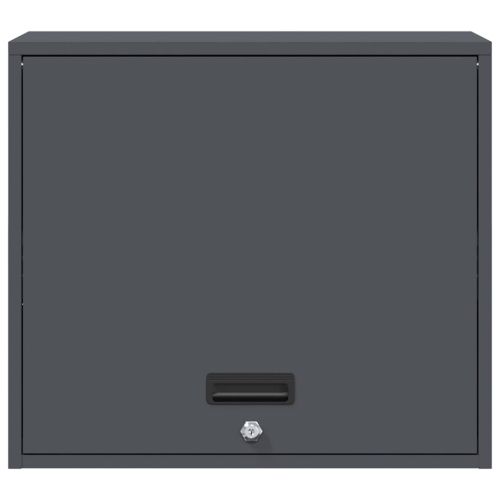 Стенен шкаф за гараж Антрацит 60 x 40 x 53 см