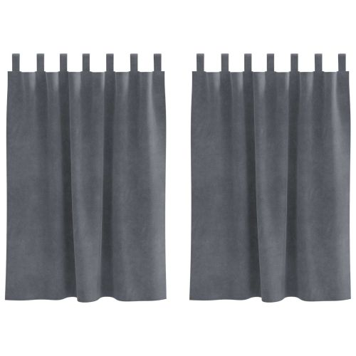 Затъмняващи завеси 2 pcs Светлосиво 140 x 140 cm Кадифе