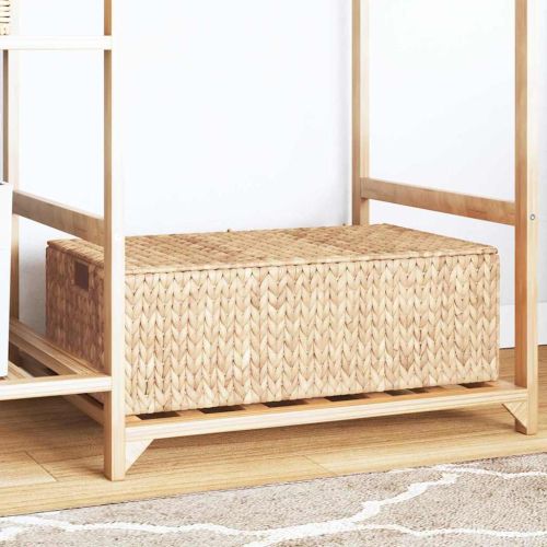 Кутия за съхранение Кафяво 60 x 38 x 20 см Воден хиацинт