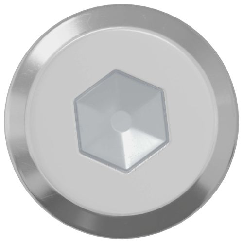 Заключващ винт Едноцветен 12 pcs Сребрист M6 x 30 mm Стомана