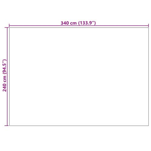 Килими за помещение Правоъгълна Бежово 340 x 240 см