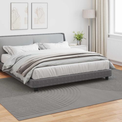 Килими за помещение HUARTE Сив 340 x 240 см Полиестер