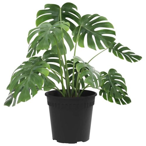 Кръгла саксия за цветя 6 pcs Черно Ø 19 x 16 см Пластмаса