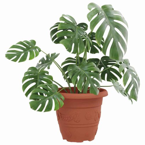 Кръгла саксия за цветя 6 pcs Червено тухла Ø 26 x 21.5 см