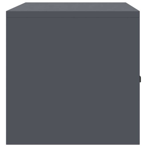 Шкаф за съхранение Антрацит 90 x 40 x 40 см Стомана