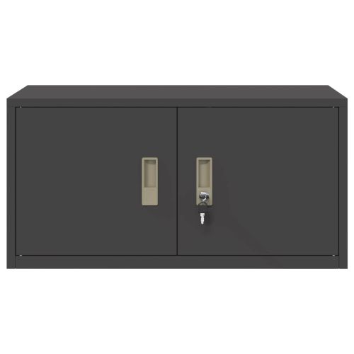 Шкаф за съхранение Черен 80 x 40 x 40 cm Стомана