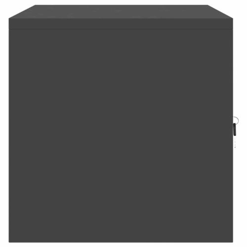 Шкаф за съхранение Черен 80 x 40 x 40 cm Стомана