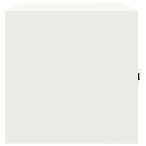 Шкаф за съхранение Бял 80 x 40 x 40 cm Стомана