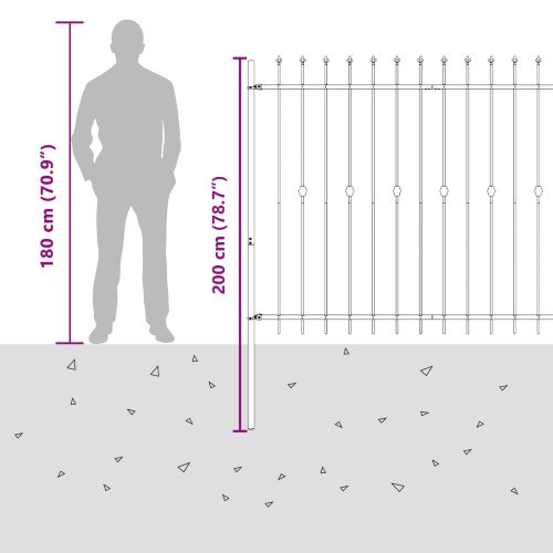 Шипова ограда Черно 200 x 200 cm Прахово боядисана стомана