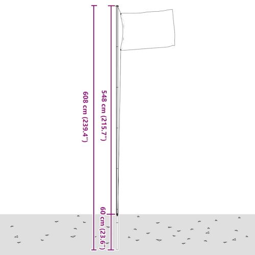 Флаг на Франция и стълб 6,08 м алуминий