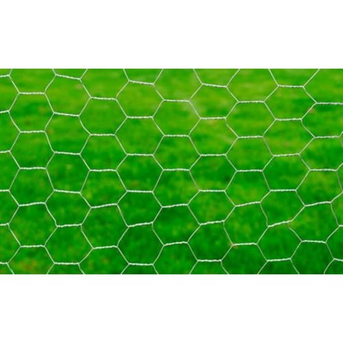 Кокошкарска мрежа, поцинкована стомана, 25x1 м, сребриста