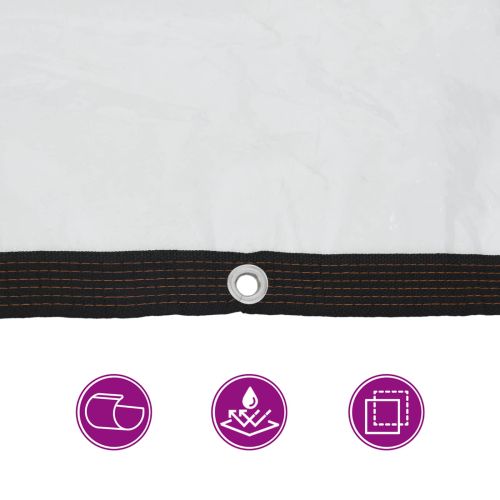 Платно с детайли Прозрачен 3 x 4 m Полиетилен