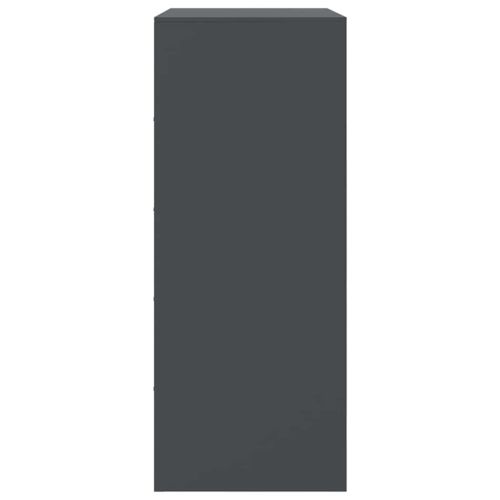 Висок шкаф, антрацит, 67x39x95 см, стомана