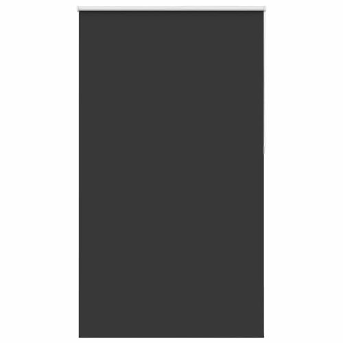 Ролетна щора Blackout Black 125x210 cm Ширина на плата 121,6 cm