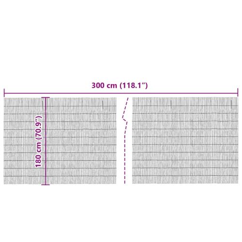 Ограда от тръстика Естествен 300 x 180 cm Ръст