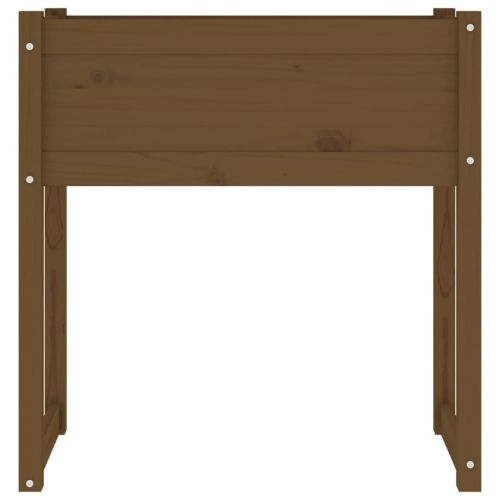 Плантер, меденокафяв, 78x40x81 см, борово дърво масив