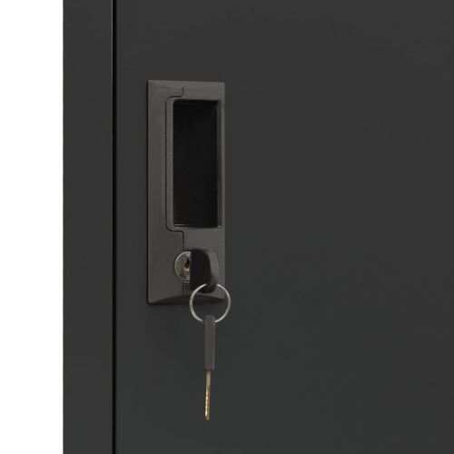 Заключващ се шкаф, антрацит, 38x40x180 см, стомана