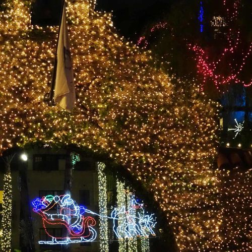 Лед мрежа Тъмен зелен