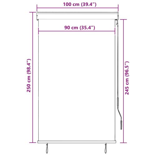 Външна ролетна щора, 100x250 см, синьо и бяло